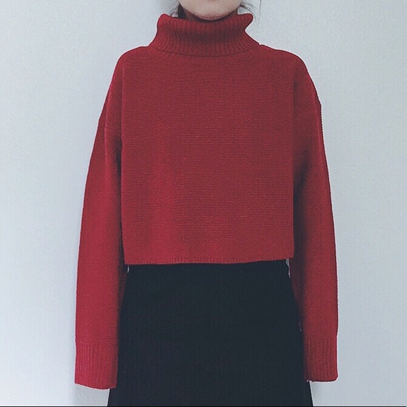 Sweaters - NWT Basic Oversized Red turtleneck sweater